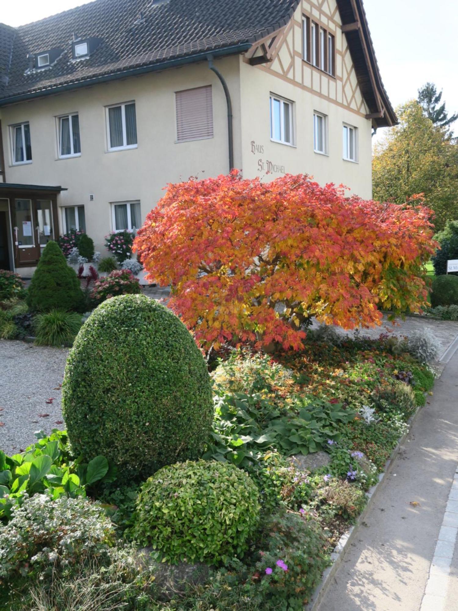Haus St.Michael Hotell Dozwil Eksteriør bilde